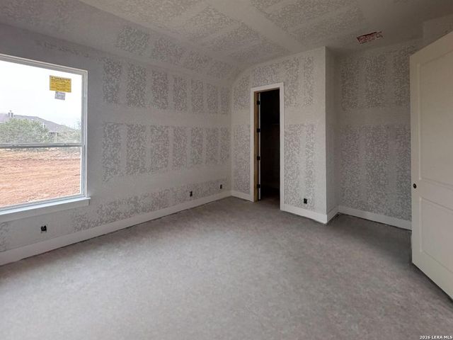 10707 Chestnut Warbler, New Braunfels, TX 78132