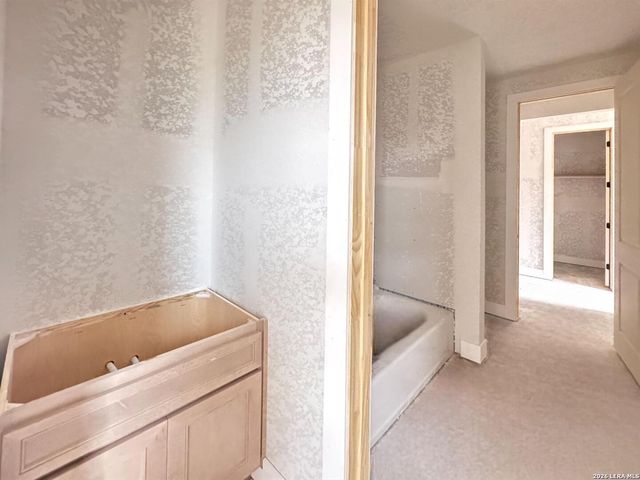 10707 Chestnut Warbler, New Braunfels, TX 78132