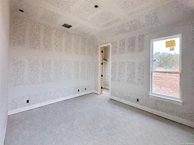 10707 Chestnut Warbler, New Braunfels, TX 78132