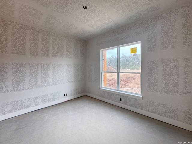 10707 Chestnut Warbler, New Braunfels, TX 78132