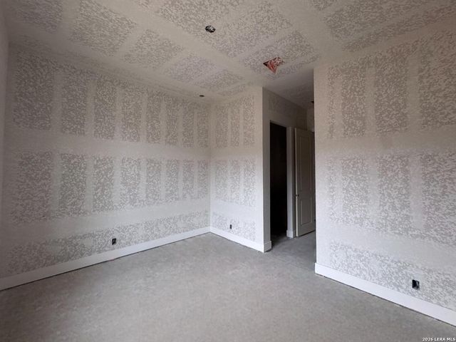 10707 Chestnut Warbler, New Braunfels, TX 78132