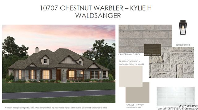 10707 Chestnut Warbler, New Braunfels, TX 78132