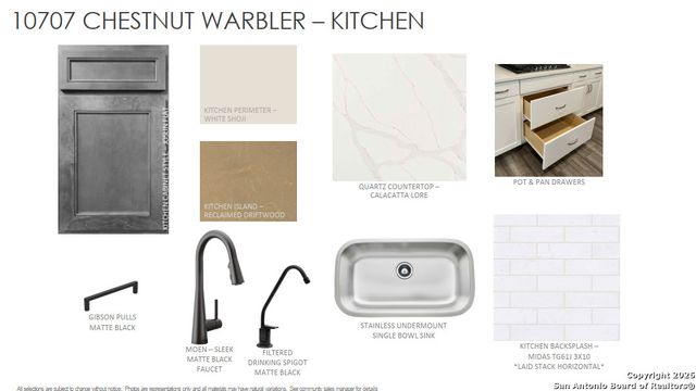 10707 Chestnut Warbler, New Braunfels, TX 78132