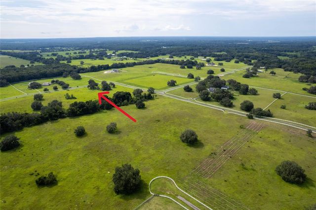 14 EAGLE RIDGE, Bushnell, FL 33513