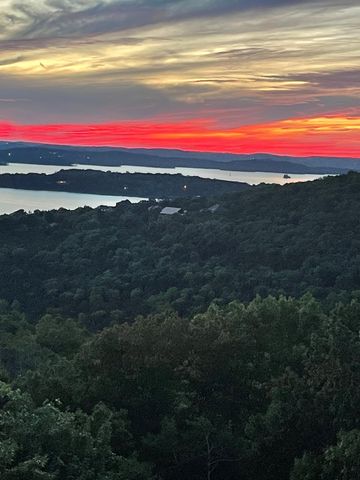 295 Split Rock Drive, Hollister, MO 65672