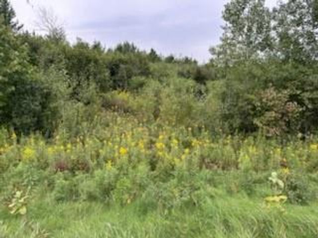 1433 300th Avenue, Frederic, WI 54837