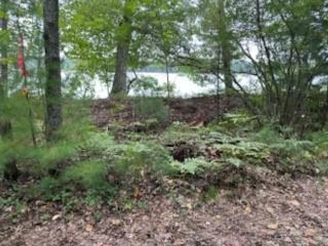 1433 300th Avenue, Frederic, WI 54837