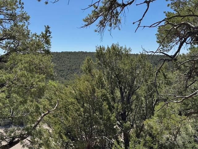 30 Rancho Verde Road, Tijeras, NM 87059