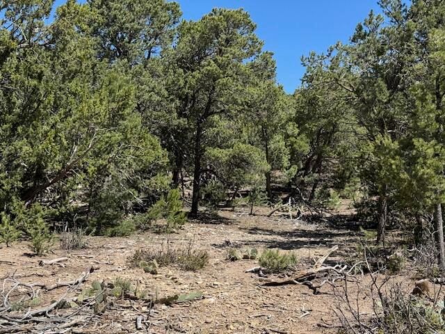 30 Rancho Verde Road, Tijeras, NM 87059