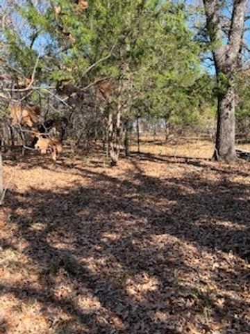 Lot 15,16 Loper Drive, Streetman, TX 75859