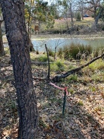 Lot 15,16 Loper Drive, Streetman, TX 75859