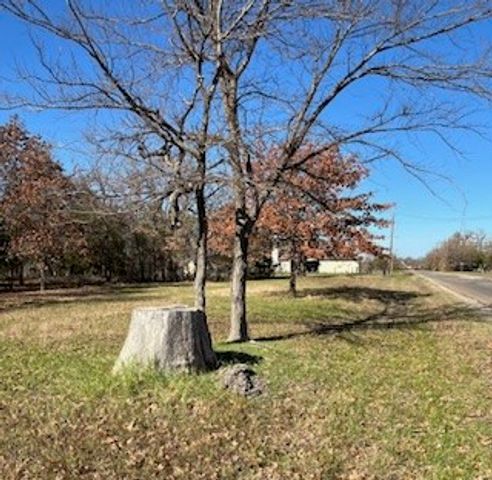 Lot 15,16 Loper Drive, Streetman, TX 75859