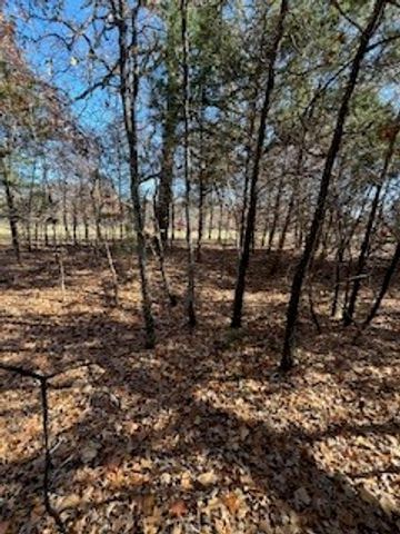 Lot 15,16 Loper Drive, Streetman, TX 75859