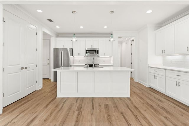 189 Windrow Way, Watersound, FL 32461