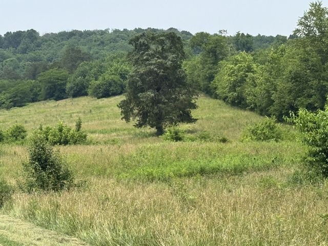 0 W Old Alexandria Rd, Watertown, TN 37184