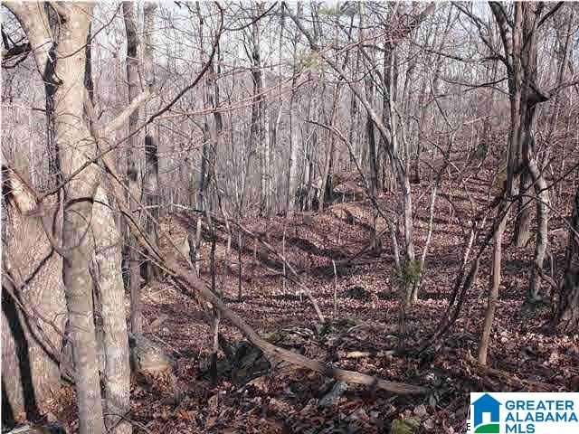 5620 S SHADES CREST ROAD, Helena, AL 35022