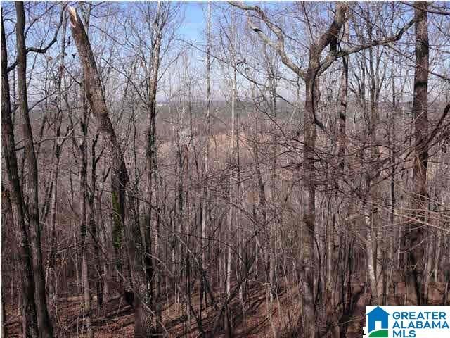 5620 S SHADES CREST ROAD, Helena, AL 35022