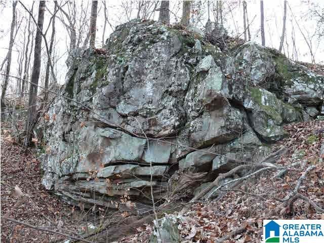 5620 S SHADES CREST ROAD, Helena, AL 35022