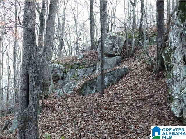 5620 S SHADES CREST ROAD, Helena, AL 35022