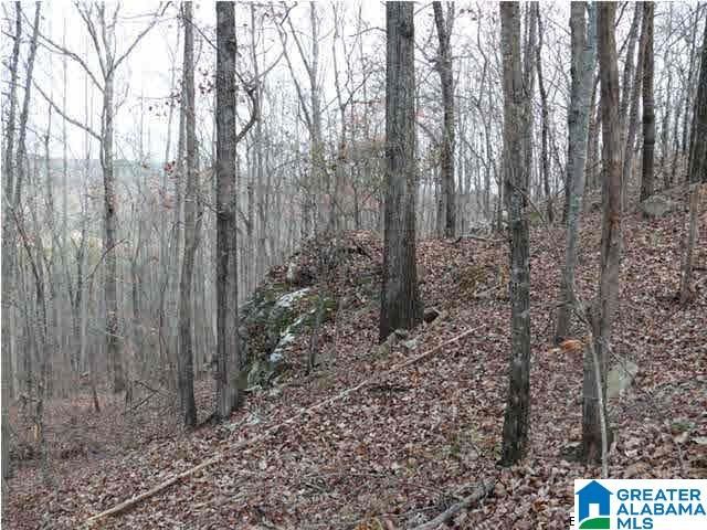 5620 S SHADES CREST ROAD, Helena, AL 35022