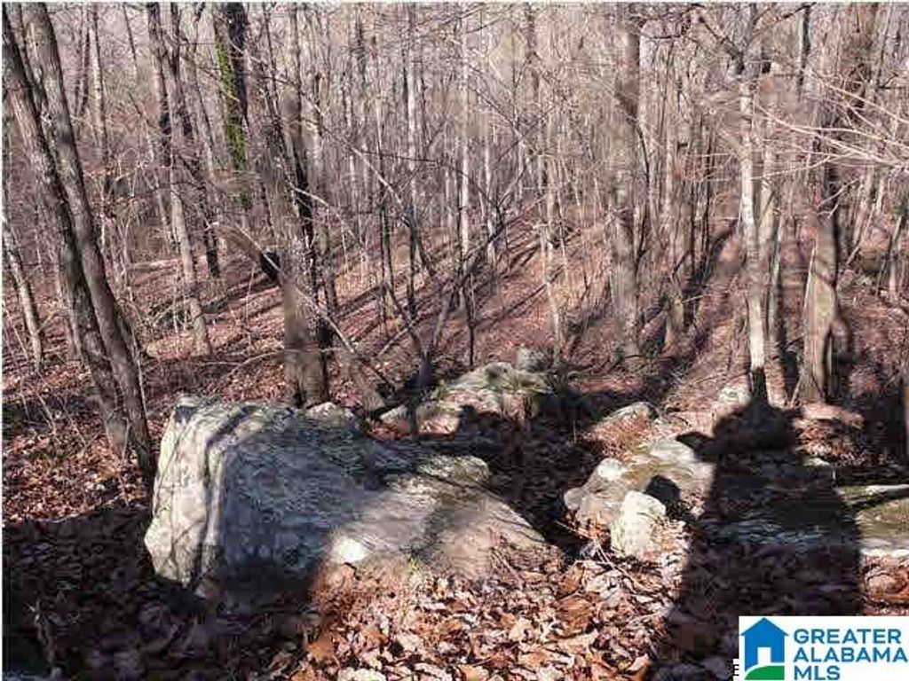 5620 S SHADES CREST ROAD, Helena, AL 35022