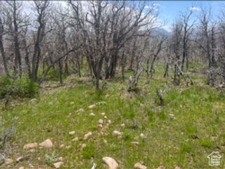 10 E Spring Mountain Dr 10, Springville, UT 84663