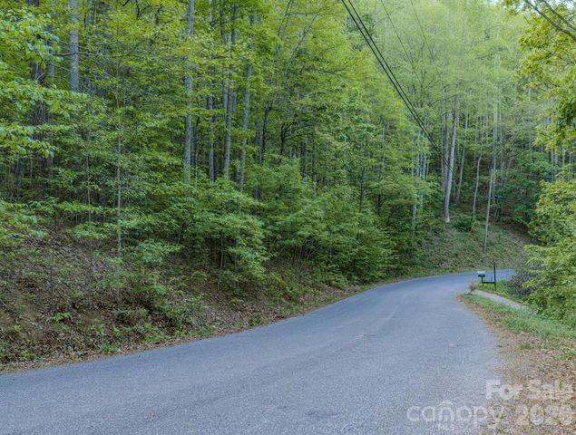 259 Mockingbird Road 1, Swannanoa, NC 28778