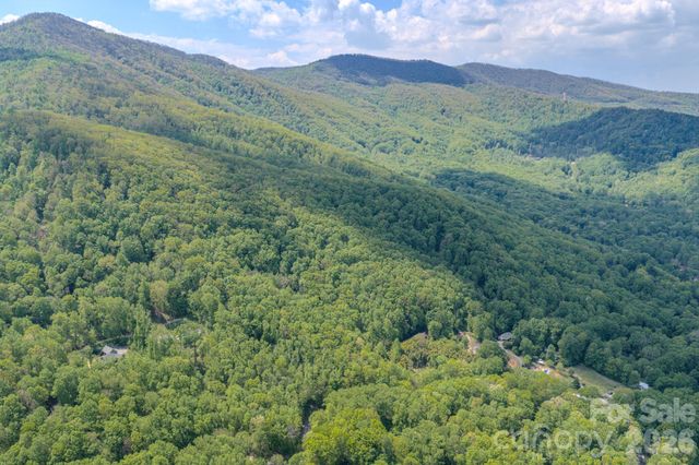 259 Mockingbird Road 1, Swannanoa, NC 28778