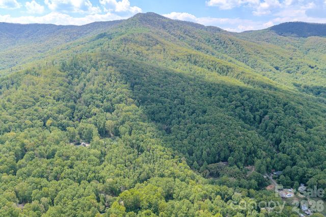 259 Mockingbird Road 1, Swannanoa, NC 28778