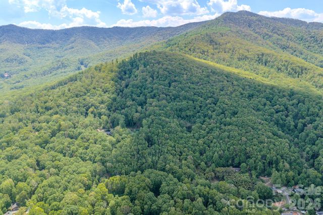 259 Mockingbird Road 1, Swannanoa, NC 28778