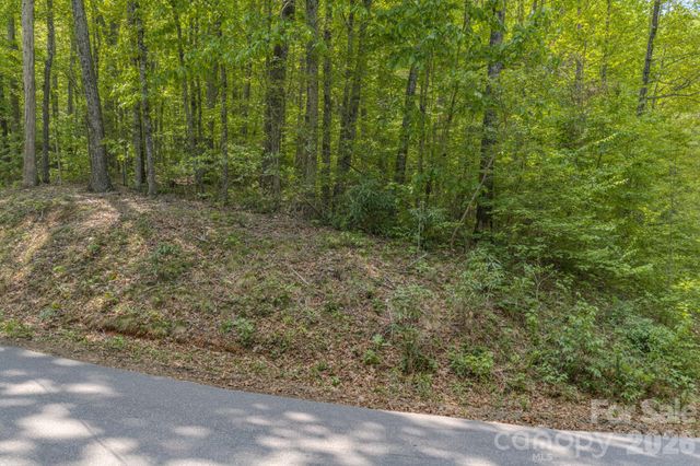 259 Mockingbird Road 1, Swannanoa, NC 28778