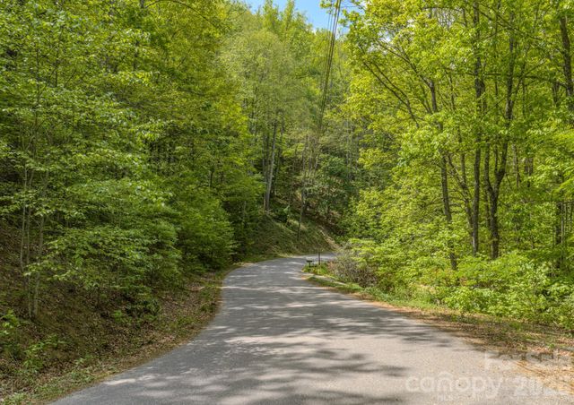 259 Mockingbird Road 1, Swannanoa, NC 28778