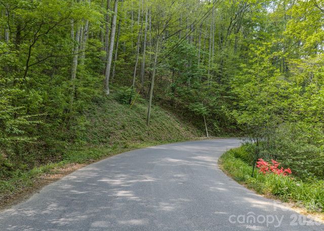259 Mockingbird Road 1, Swannanoa, NC 28778