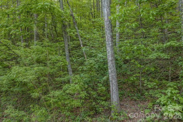 259 Mockingbird Road 1, Swannanoa, NC 28778