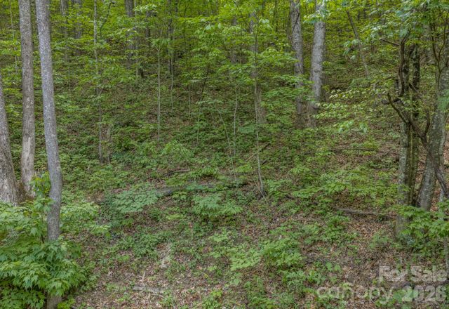 259 Mockingbird Road 1, Swannanoa, NC 28778