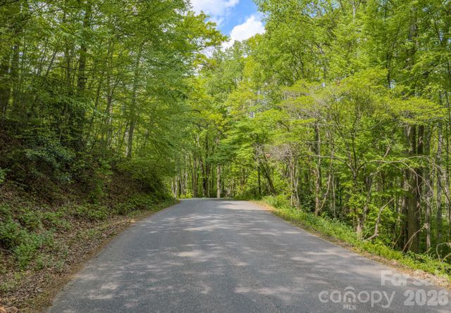 259 Mockingbird Road 1, Swannanoa, NC 28778