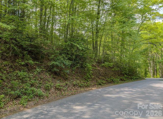259 Mockingbird Road 1, Swannanoa, NC 28778