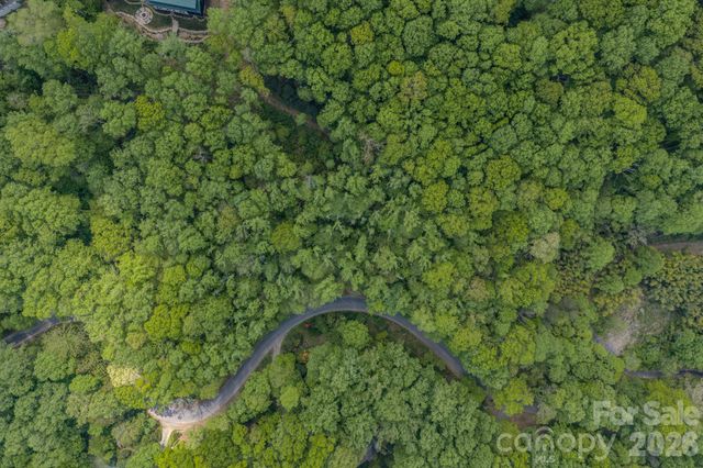259 Mockingbird Road 1, Swannanoa, NC 28778