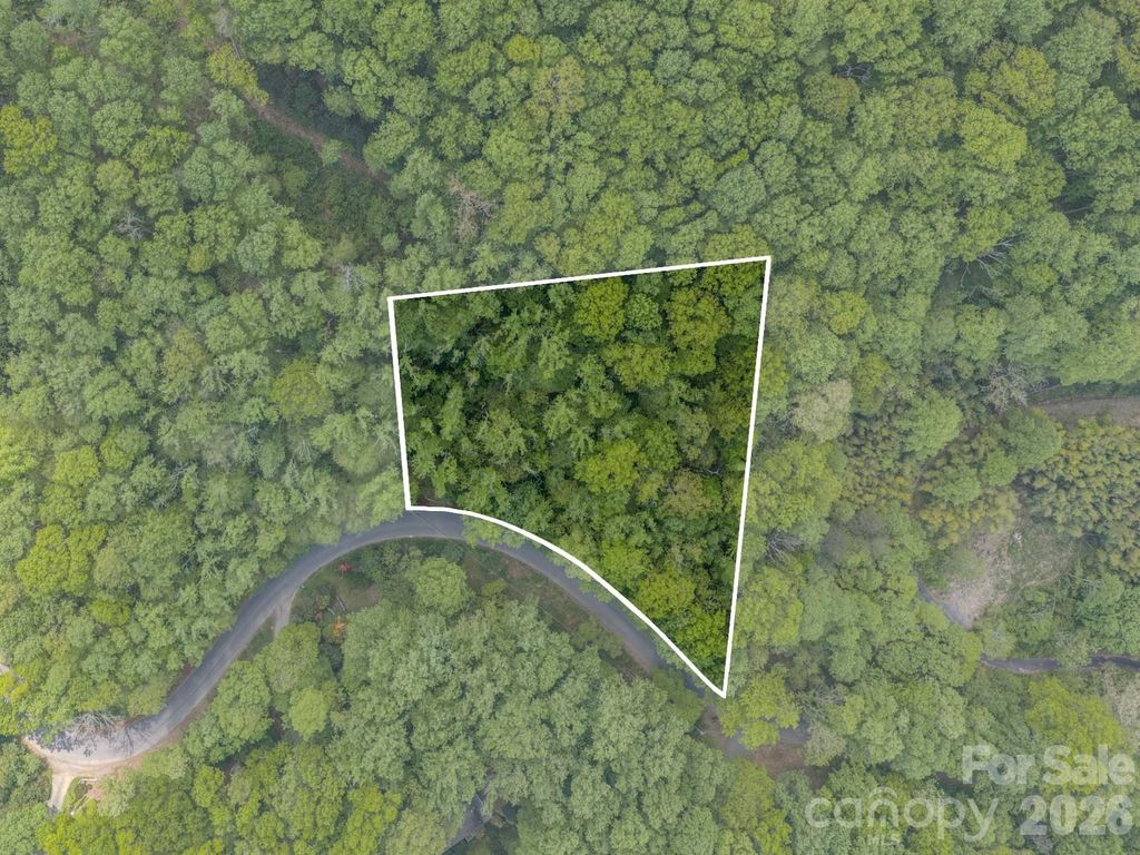 259 Mockingbird Road 1, Swannanoa, NC 28778