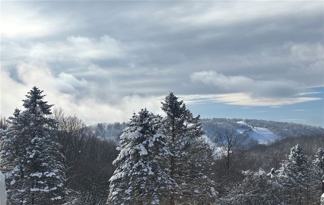 2488 County Line Road, Saltlick Twp, PA 15622