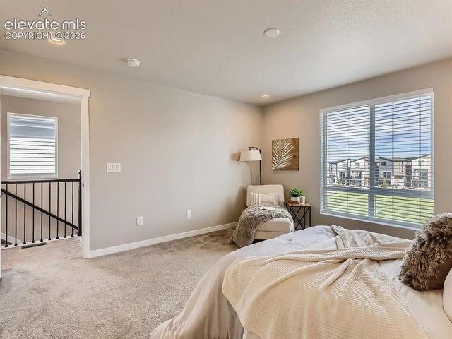 11235 Modern Meadow Loop, Colorado Springs, CO 80921