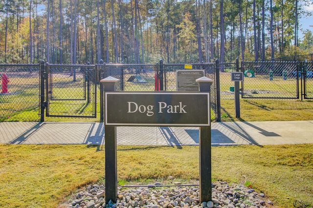 771 Blue Iris Way, Summerville, SC 29486