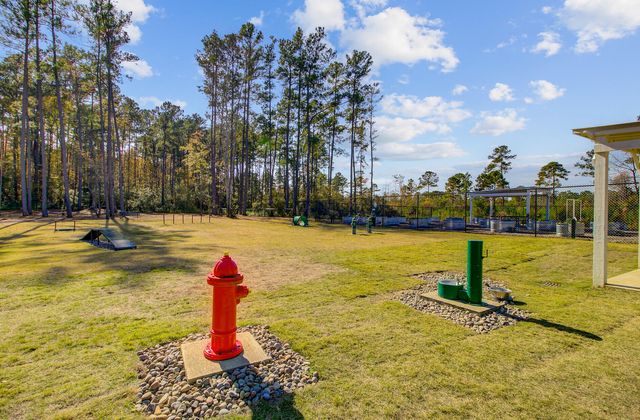 771 Blue Iris Way, Summerville, SC 29486