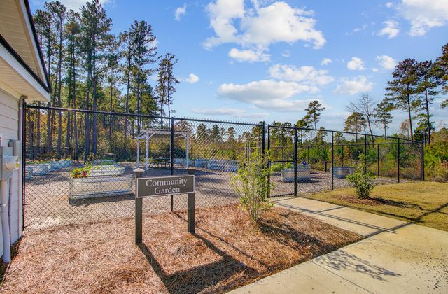 771 Blue Iris Way, Summerville, SC 29486