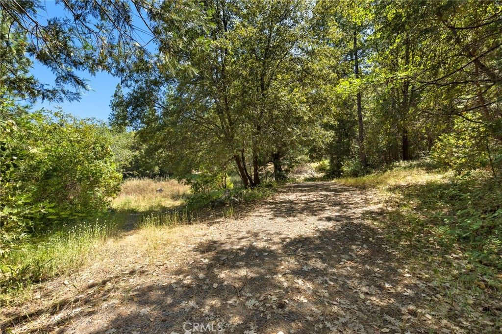 Image 11 of property listing at 7859 Reed, Oroville, CA 95966