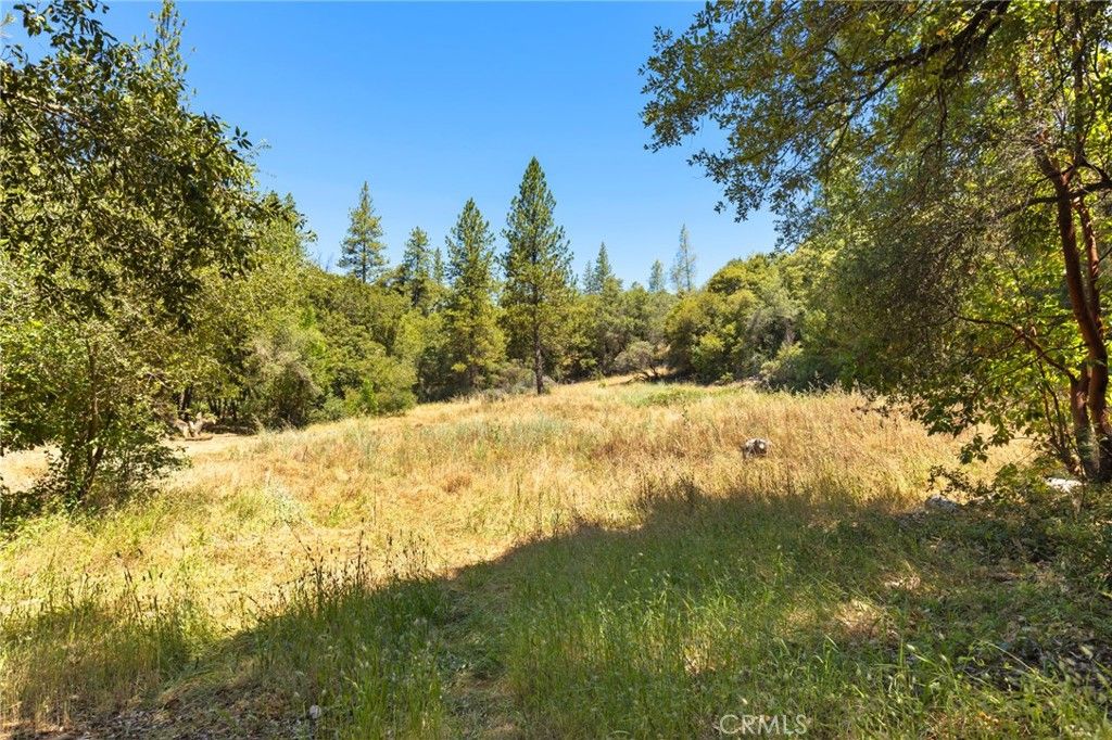 Image 13 of property listing at 7859 Reed, Oroville, CA 95966