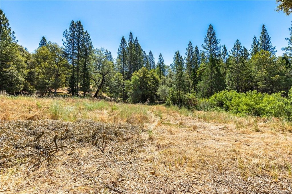 Image 14 of property listing at 7859 Reed, Oroville, CA 95966