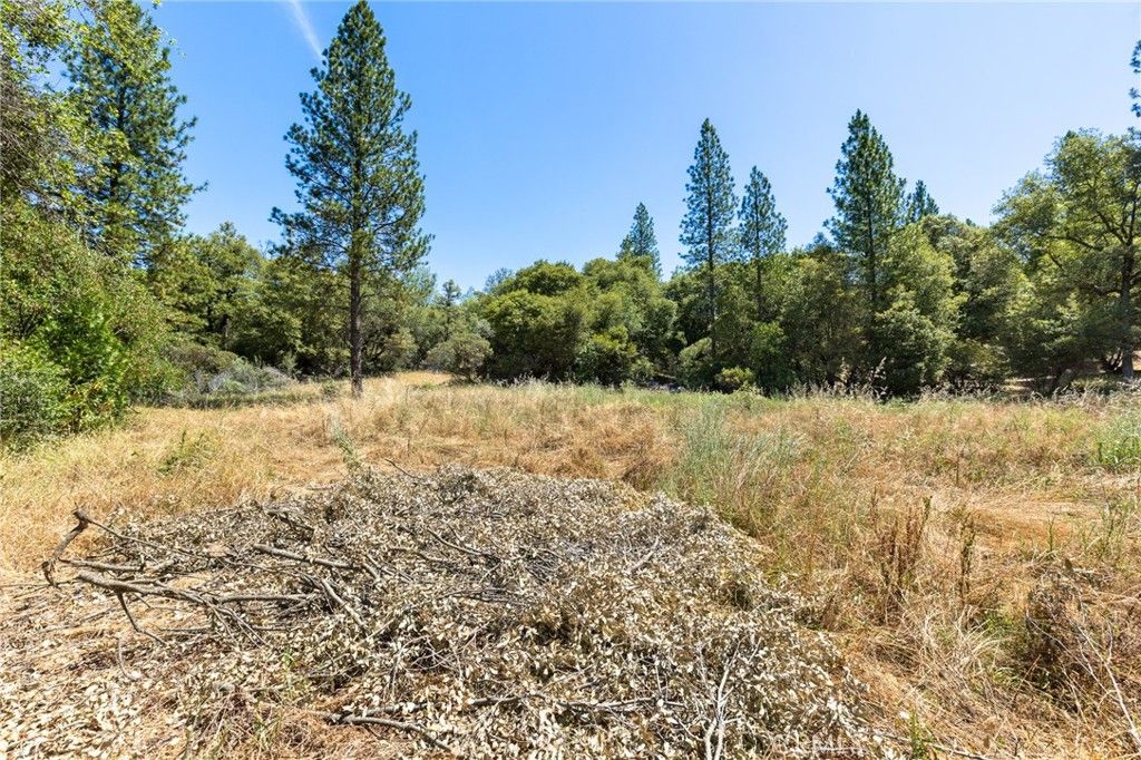 Image 15 of property listing at 7859 Reed, Oroville, CA 95966