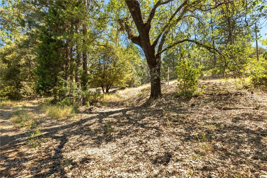 Image 16 of property listing at 7859 Reed, Oroville, CA 95966