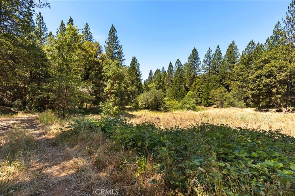 Image 17 of property listing at 7859 Reed, Oroville, CA 95966